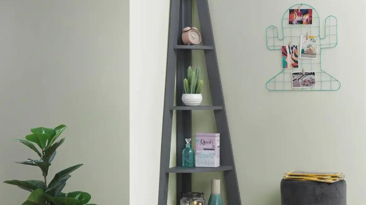 Bookcase options for the home