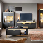 Genoa TV Cabinet 2 Door 1 Drawer 200cm Wide in Black Matt/Gold - Price Crash Furniture