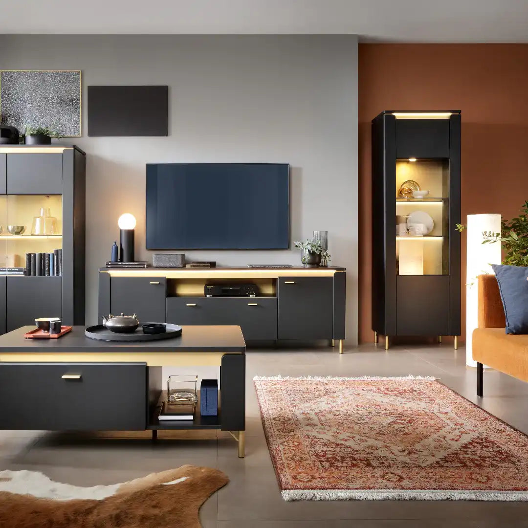 Genoa Vitrin 1 Door in Black Matt/Gold - Price Crash Furniture