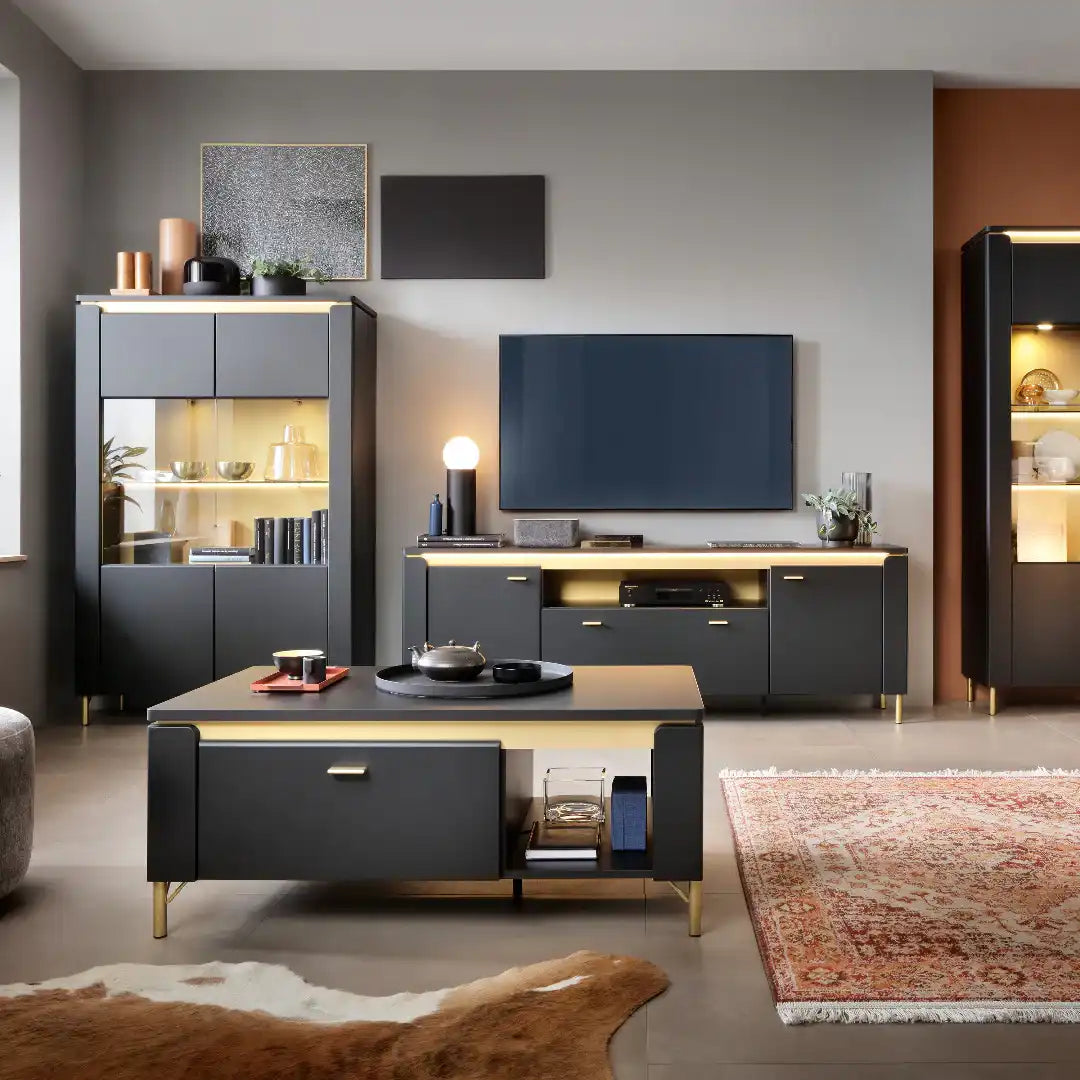 Genoa Vitrin 2 Door in Black Matt/Gold - Price Crash Furniture