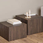 Dice Square Coffee Table Set in Smoked Ash - Price Crash Furniture