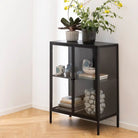 Newcastle Low 2 Door Display Cabinet In Matt Black - Price Crash Furniture