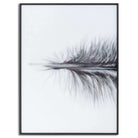 Black Striped Feather Over 3 Black Glass Frames - Price Crash Furniture