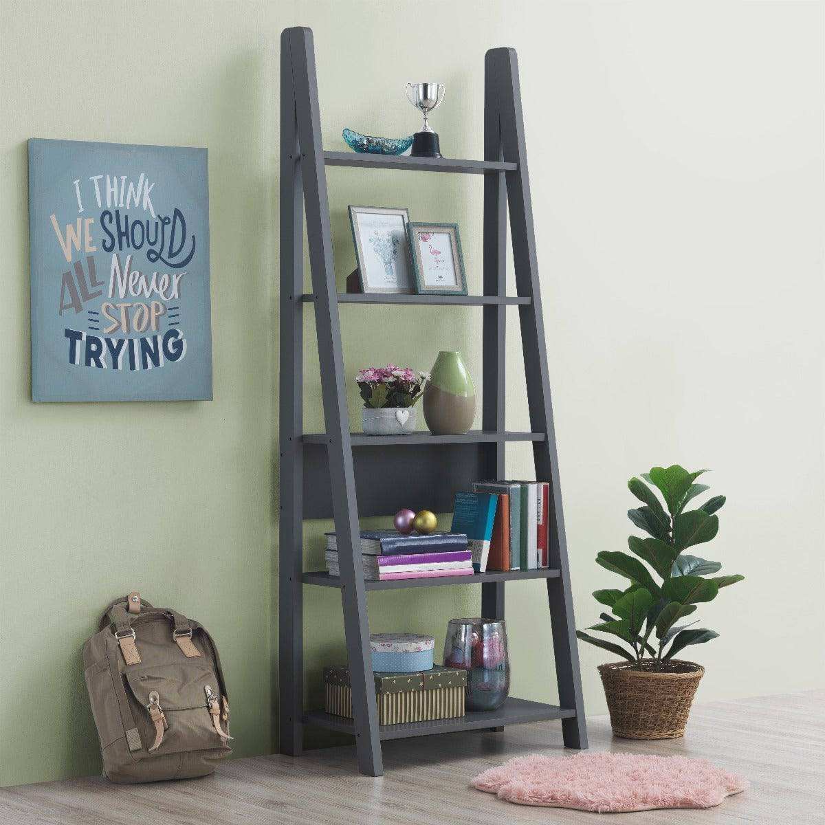 Riva Ladder Bookcase in Dark Grey by TAD - Price Crash Furniture