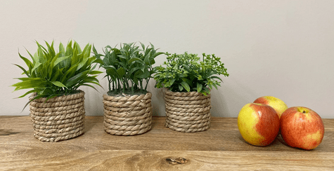 Set Of Three Rope Effect Pots And Artificial Succulents - Price Crash Furniture