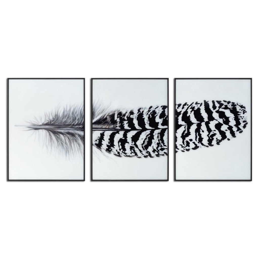 Black Striped Feather Over 3 Black Glass Frames - Price Crash Furniture