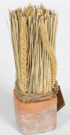 Corn Dried Grass Bouquet in Terracotta Pot - Price Crash Furniture
