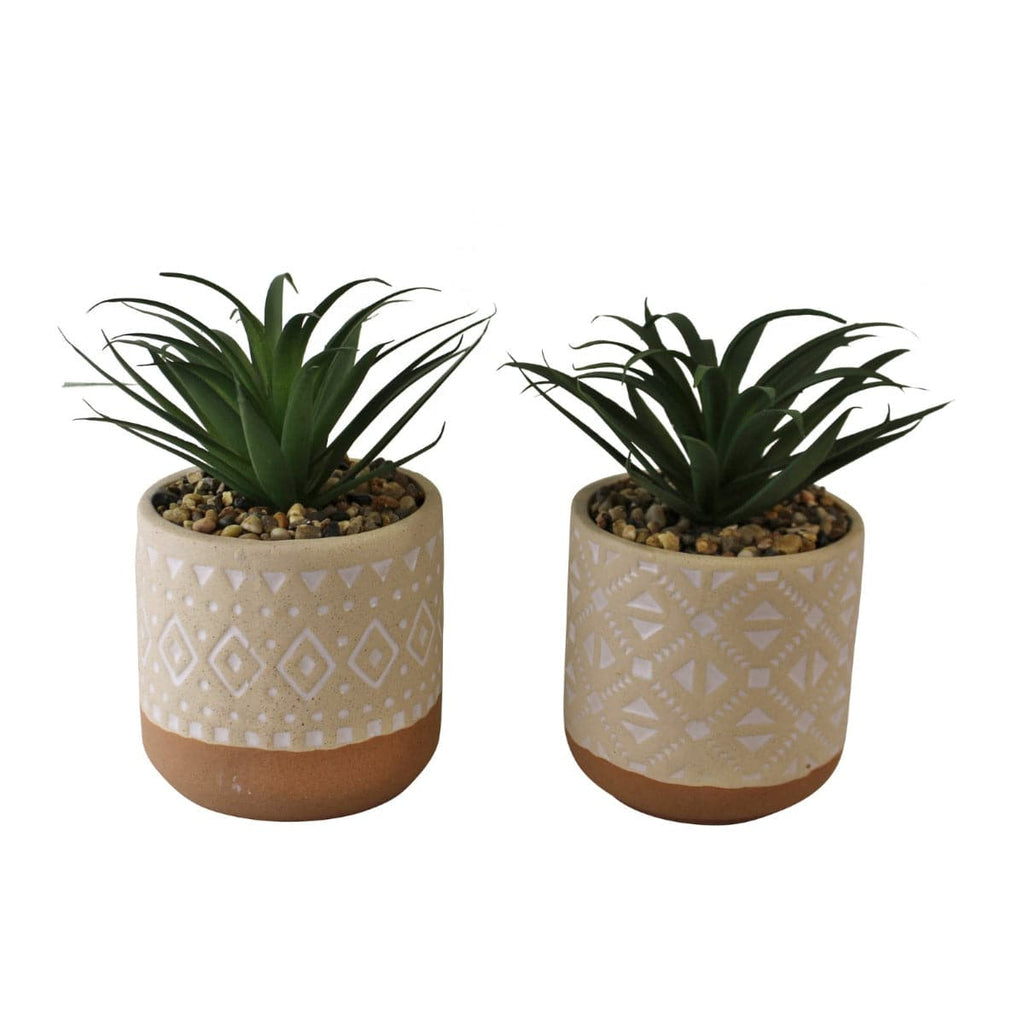 Set of 2 Faux Succulents In Ceramic Pots - Price Crash Furniture