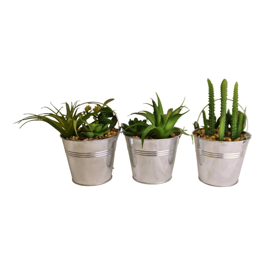 Set of 3 Faux Succulents In Tin Buckets - Price Crash Furniture
