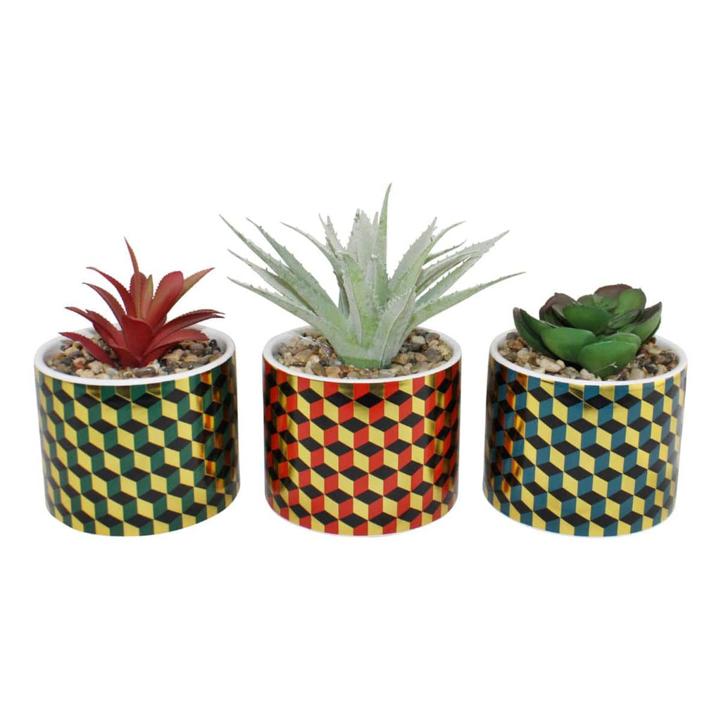 Set of 3 Succulents In Ceramic Pots With A Cubic Design - Price Crash Furniture