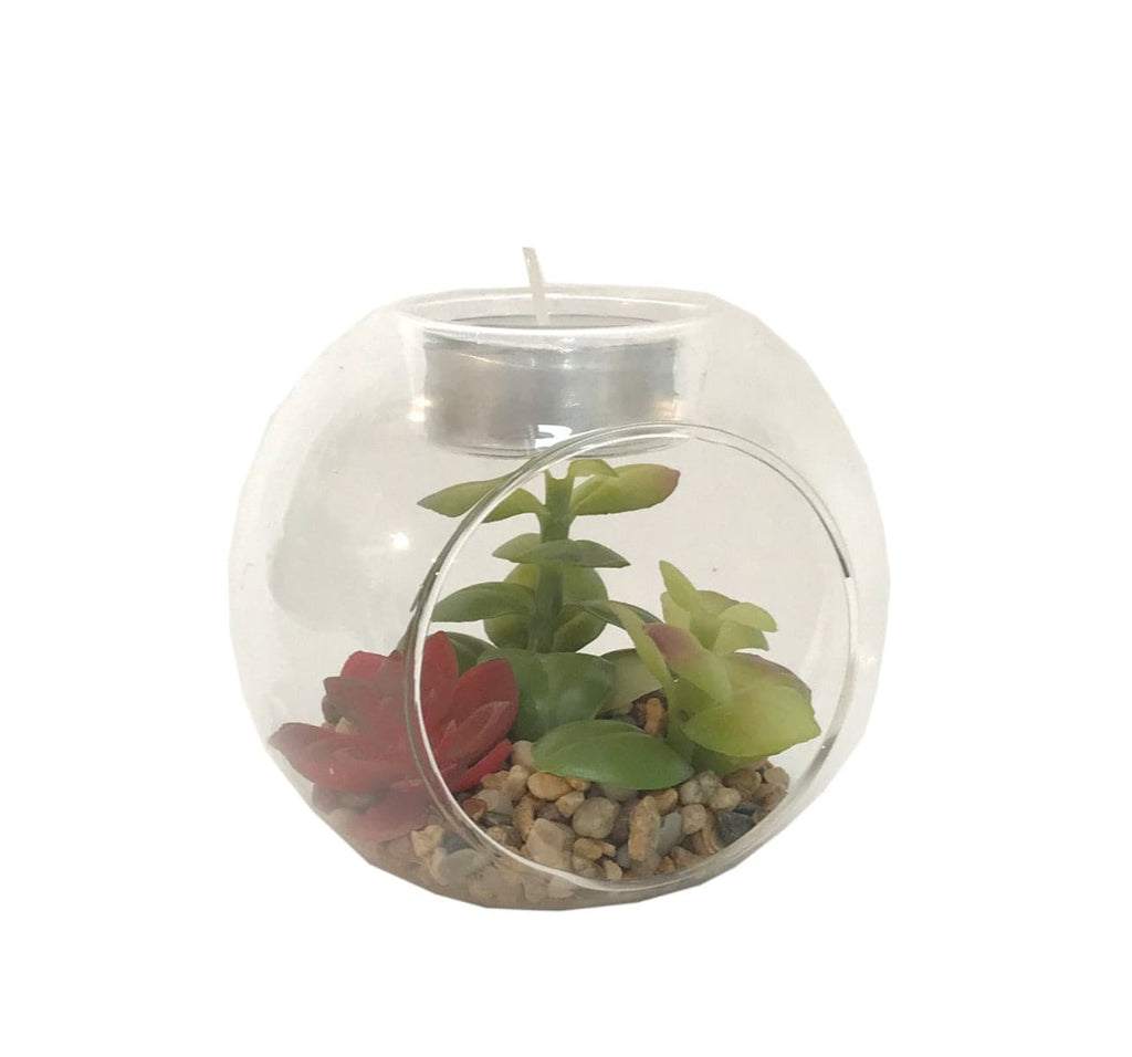 Succulent In Glass Terrarium with TeaLight Holder - Price Crash Furniture