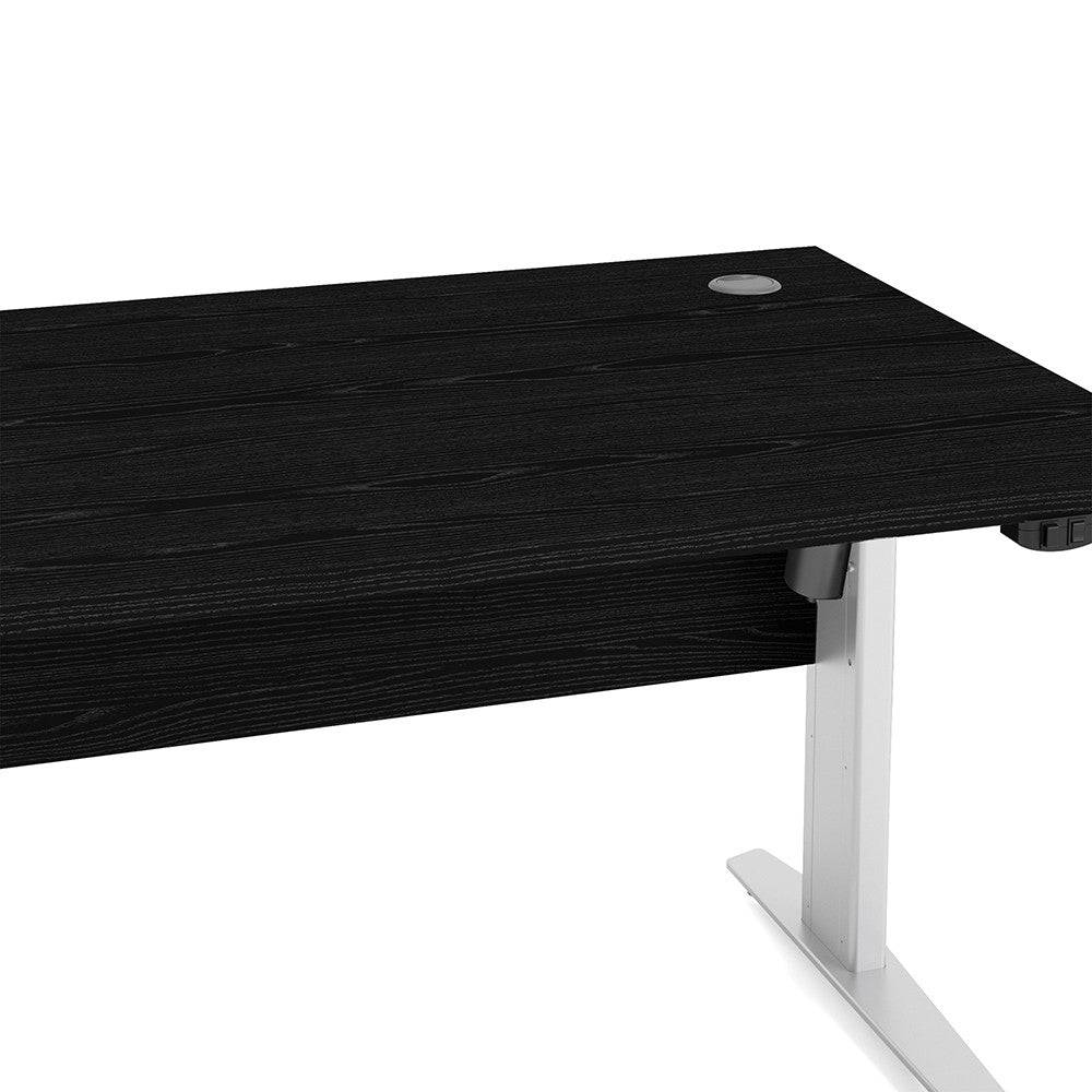 Prima Desk 150 cm with Electric Height Adjust for Standing or Sitting with White Legs in Black Woodgrain - Price Crash Furniture