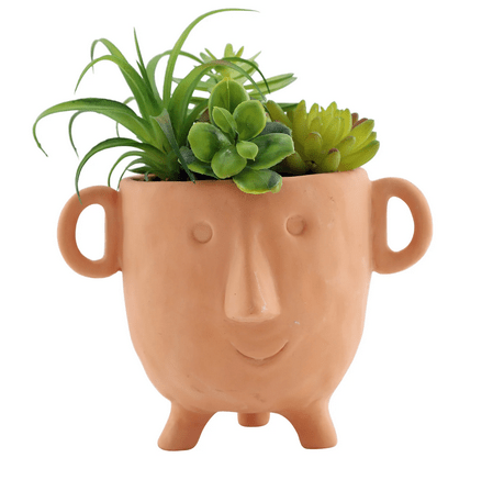 Face Terracotta Pot With Faux Cacti Large - Price Crash Furniture