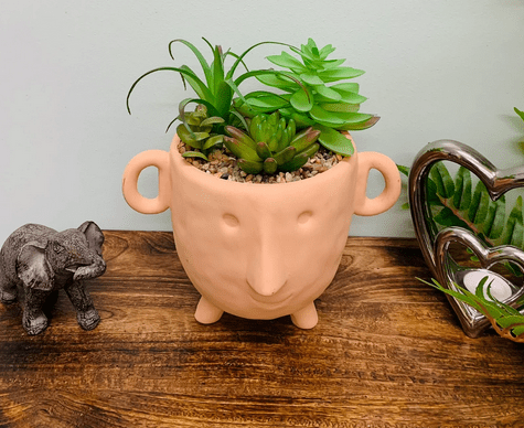 Face Terracotta Pot With Faux Cacti Large - Price Crash Furniture