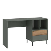 Darwin Desk 2 Drawer in Green/Oak - Price Crash Furniture