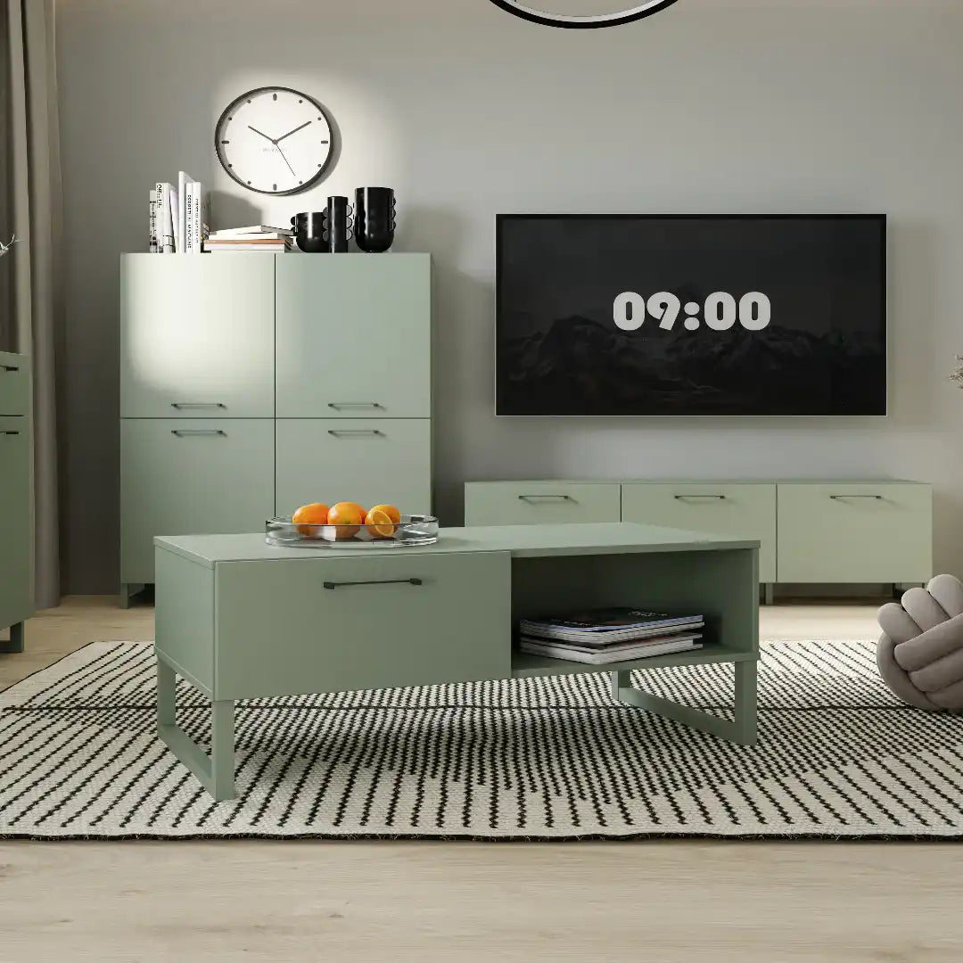 Sali 2 Door 2 Drawer TV Unit in Sage Green - Price Crash Furniture