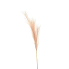 Faux Pampas Grass Stem - Price Crash Furniture