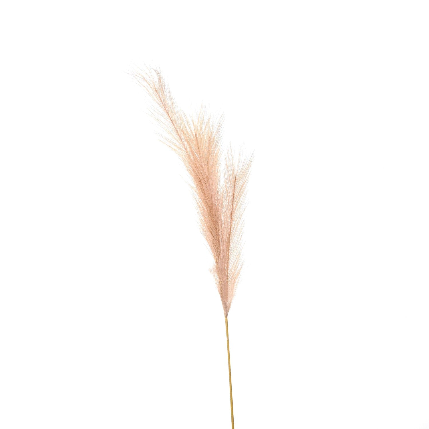 Faux Pampas Grass Stem - Price Crash Furniture