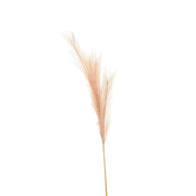 Faux Pampas Grass Stem - Price Crash Furniture