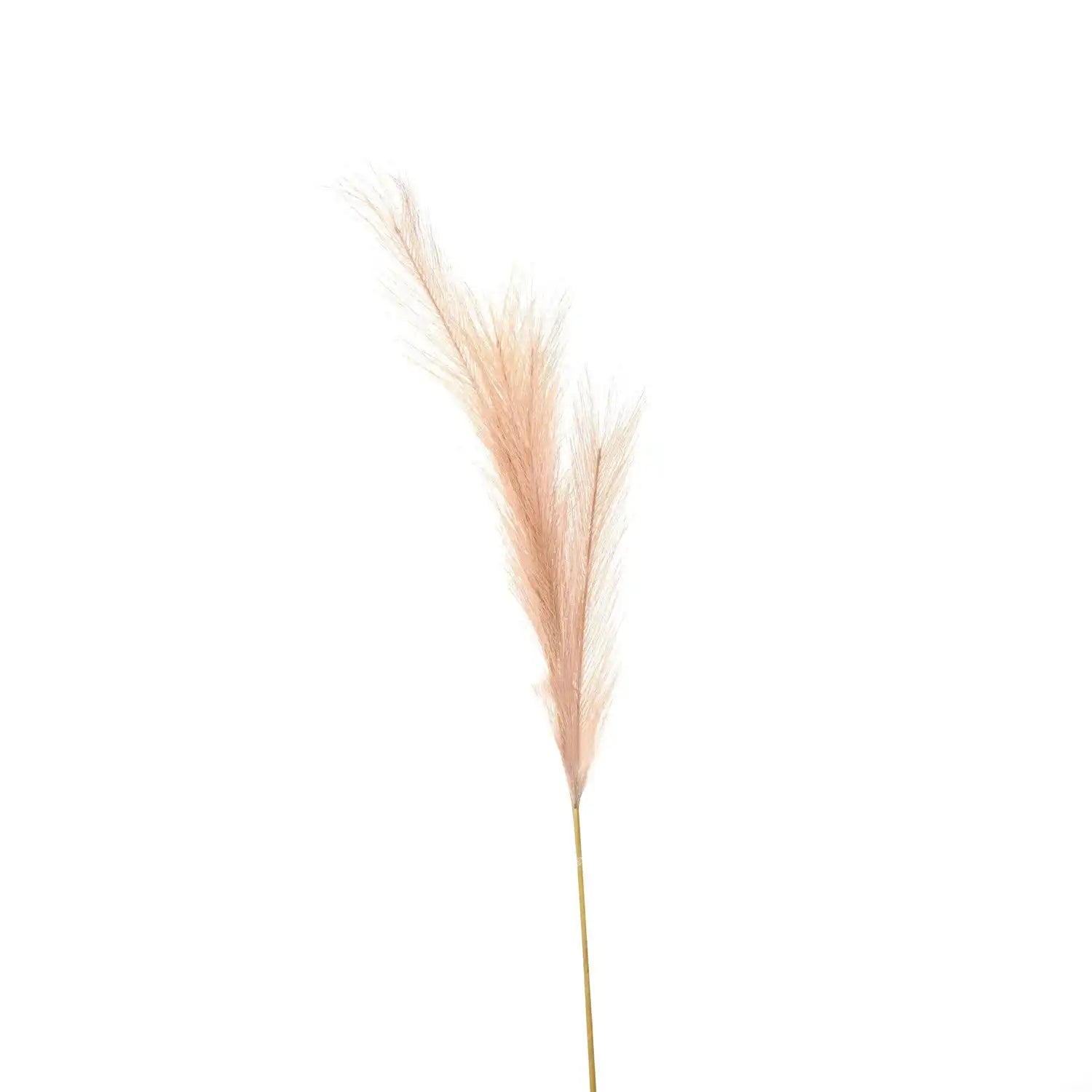 Faux Pampas Grass Stem - Price Crash Furniture