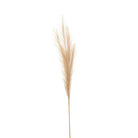 Bleached Faux Pampas Grass Stem - Price Crash Furniture