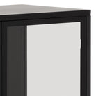 Newcastle Low 2 Door Display Cabinet In Matt Black - Price Crash Furniture