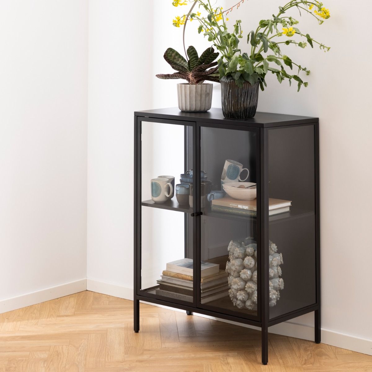 Newcastle Low 2 Door Display Cabinet In Matt Black - Price Crash Furniture