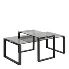 Katrine Coffee Table Set With Smoked Glass Top - Price Crash Furniture