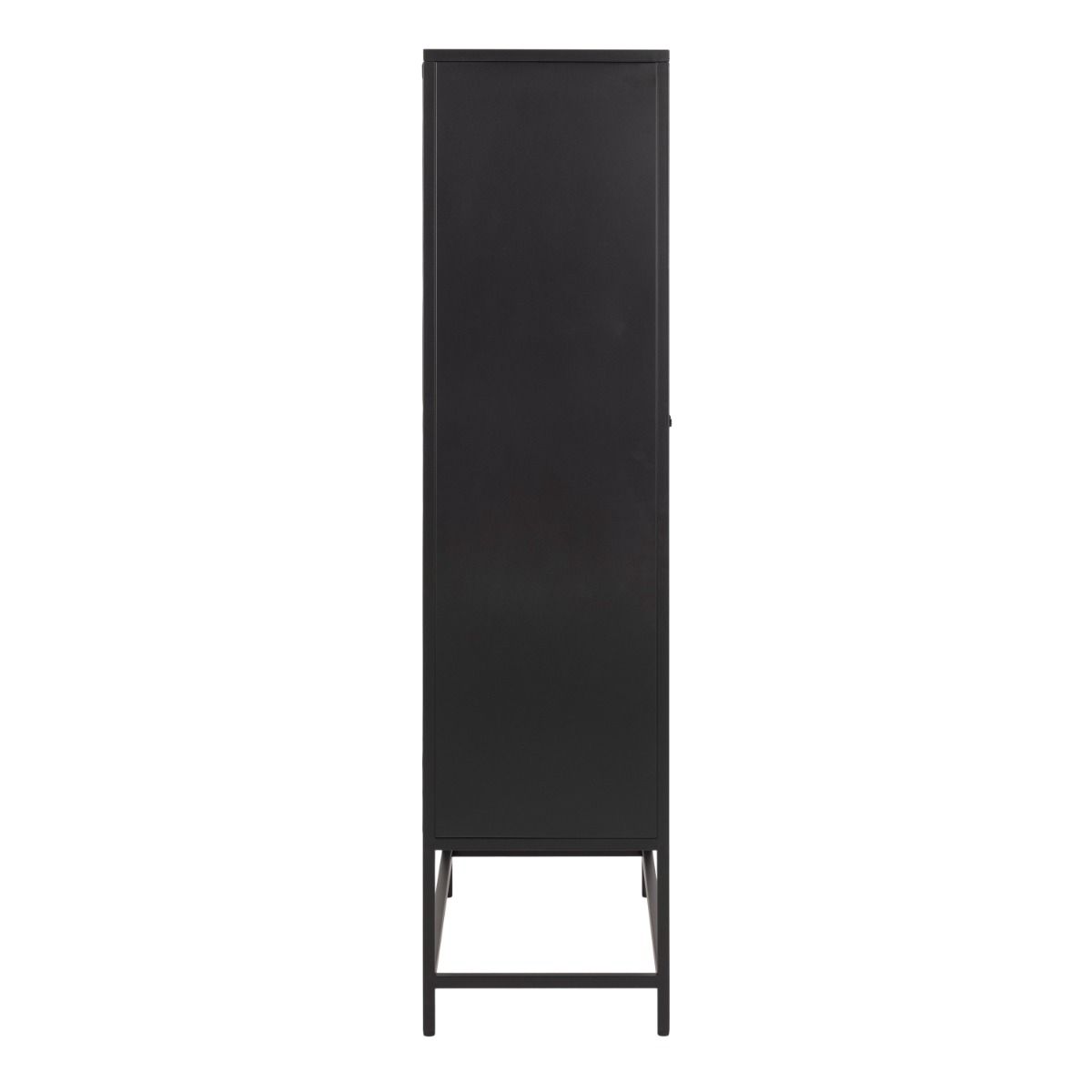 Newcastle 2 Door Cabinet In Matt Black - Price Crash Furniture