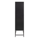 Newcastle 2 Door Cabinet In Matt Black - Price Crash Furniture