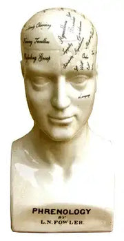 Large Ceramic Phrenology Head 42cm - Price Crash Furniture