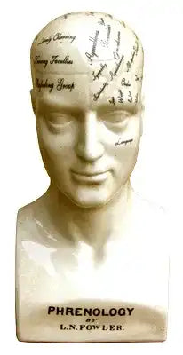 Large Ceramic Phrenology Head 42cm - Price Crash Furniture