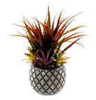 Succulents In Large Lattice Design Grey Pot - Price Crash Furniture