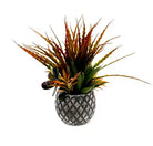 Succulents In Small Lattice Design Grey Pot - Price Crash Furniture