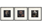 Set of 3 Jungle Animal Head Prints Picture Art 40x40cm - Price Crash Furniture