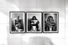 Set of 3 Animal's On The Toilet Framed Canvas 45x60cm - Price Crash Furniture