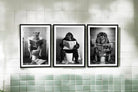 Set of 3 Animal's On The Toilet Framed Canvas 45x60cm - Price Crash Furniture