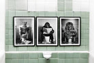 Set of 3 Animal's On The Toilet Framed Canvas 45x60cm - Price Crash Furniture