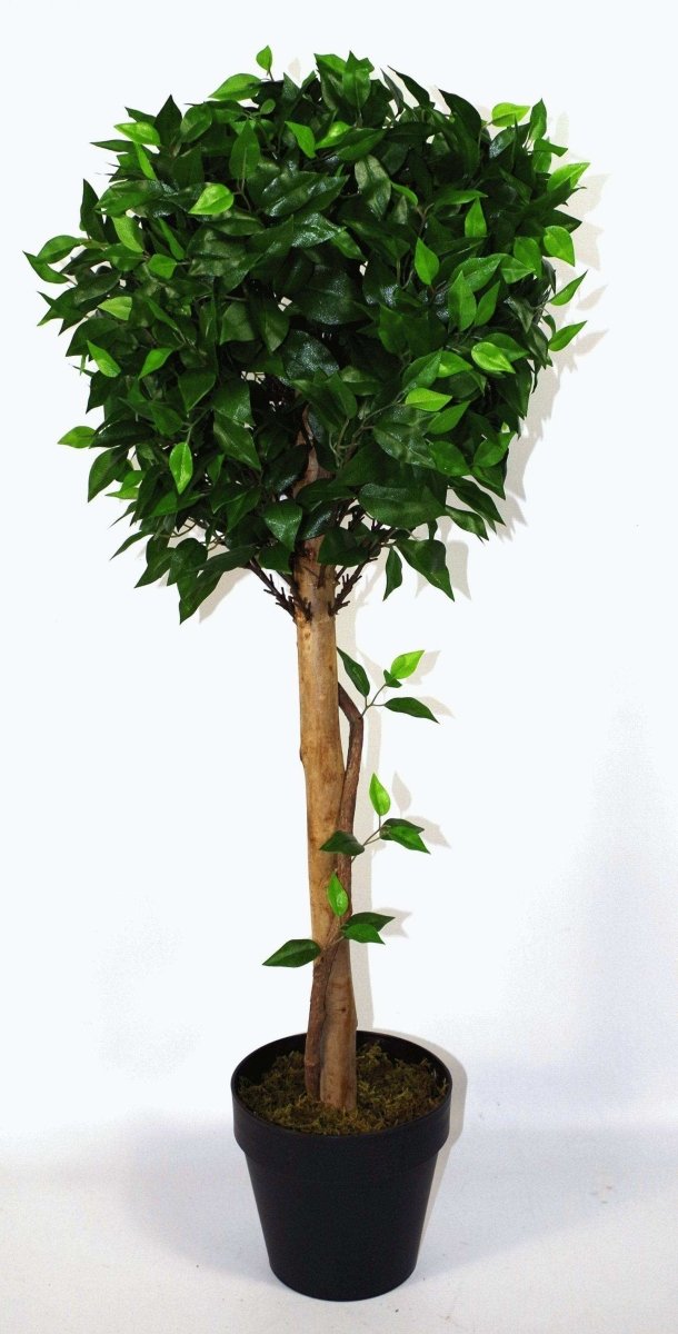 Artificial X - Large 105cm Ficus Ball Tree - Price Crash Furniture