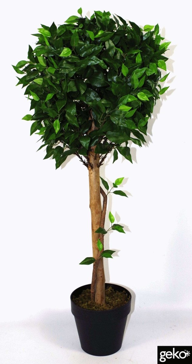 Artificial X - Large 105cm Ficus Ball Tree - Price Crash Furniture