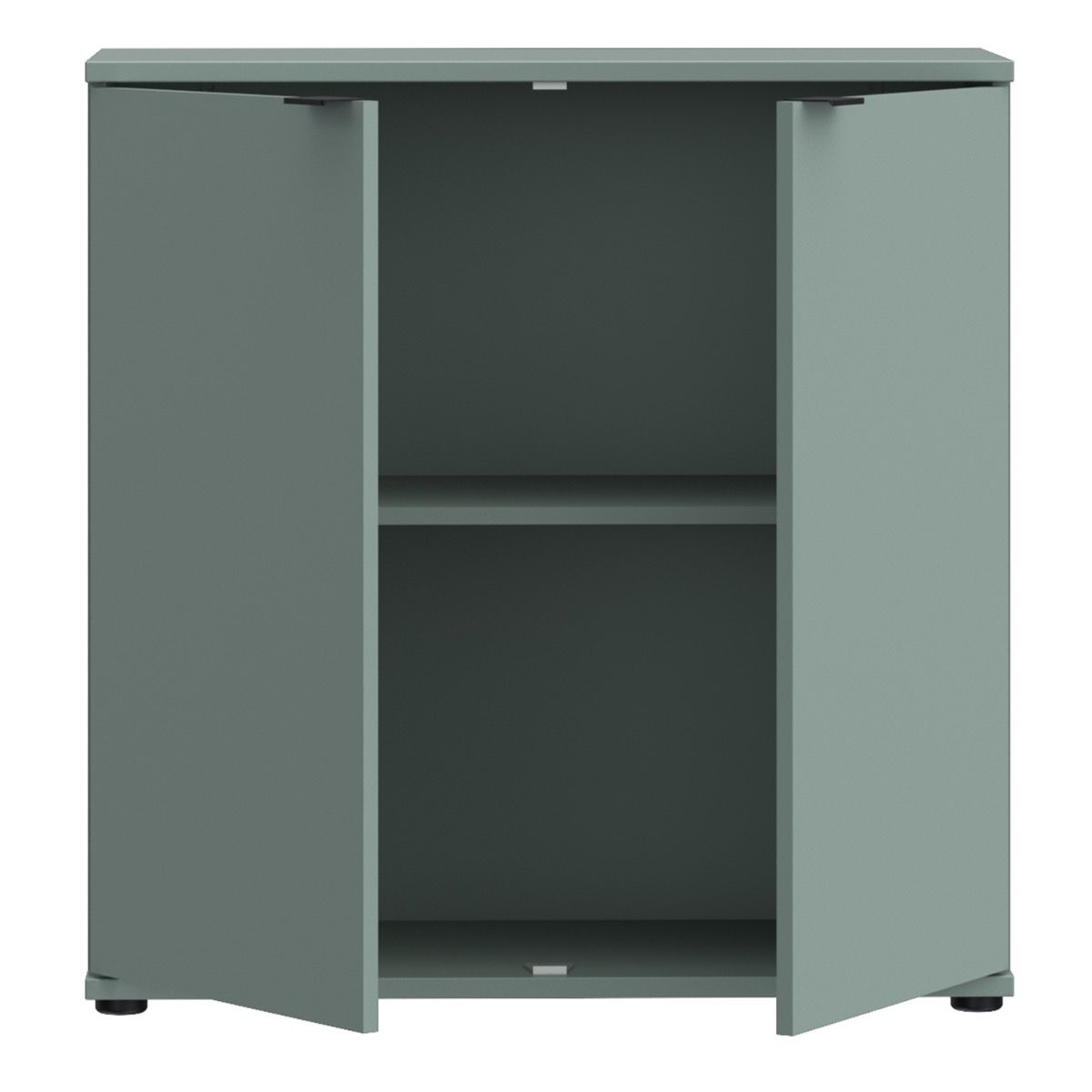 Ganymede 2 Door Cupboard In Sage Green - Price Crash Furniture
