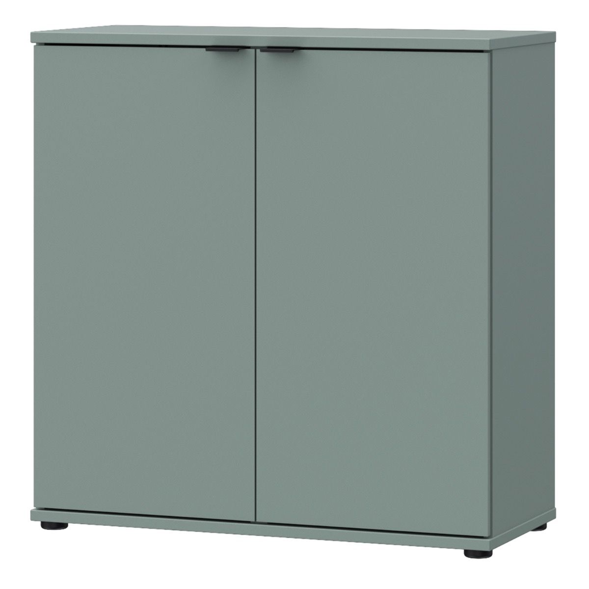 Ganymede 2 Door Cupboard In Sage Green - Price Crash Furniture