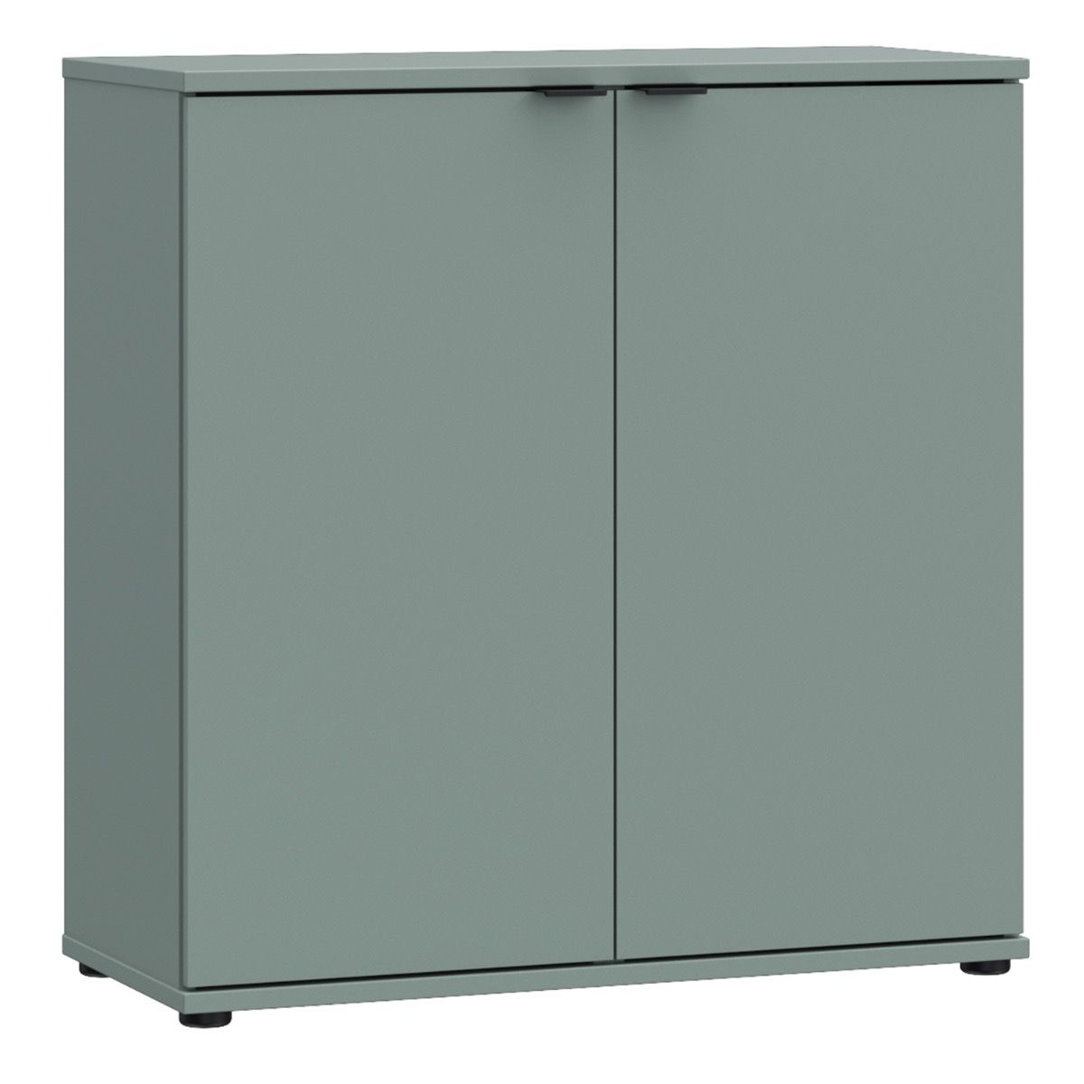 Ganymede 2 Door Cupboard In Sage Green - Price Crash Furniture
