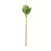Large Green Protea - Price Crash Furniture