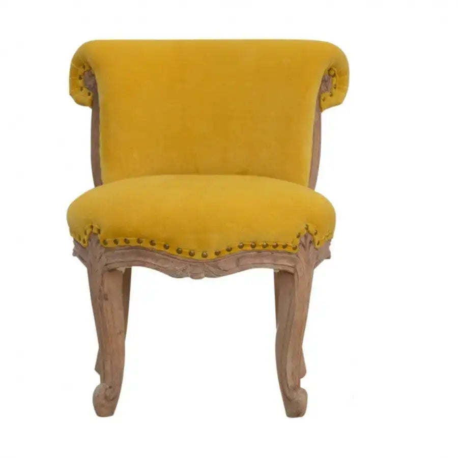 Mustard Yellow Velvet Studded Accent Chair With Cabriole Legs - Price Crash Furniture