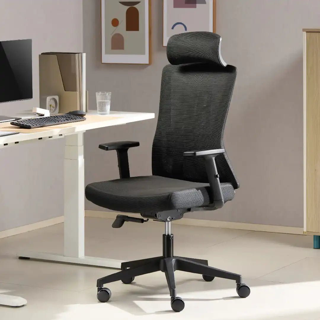 Oxford Plus Office Chair - Black - Price Crash Furniture