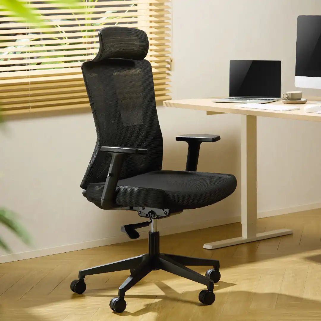 Oxford Plus Office Chair - Black - Price Crash Furniture