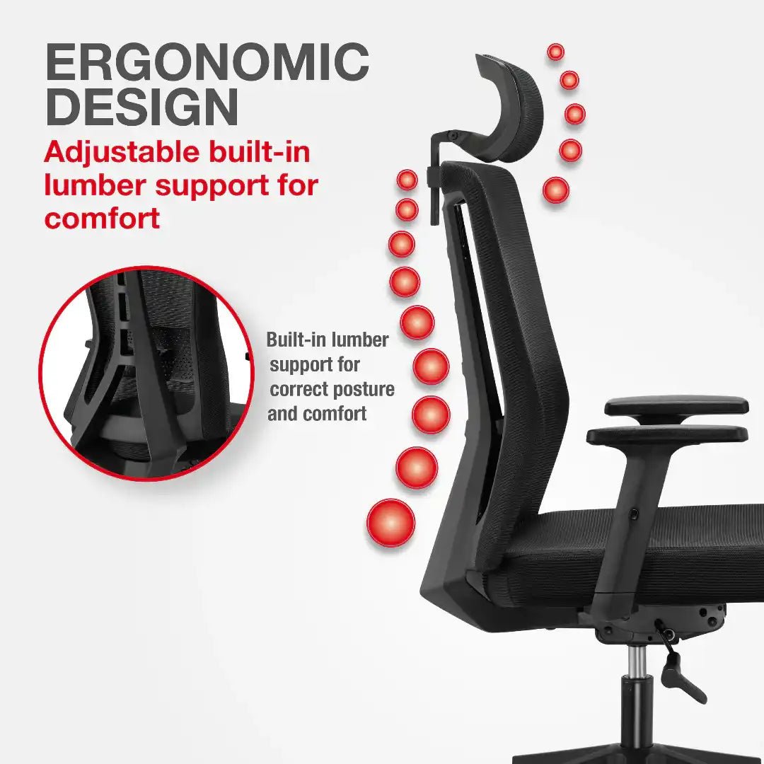 Oxford Plus Office Chair - Black - Price Crash Furniture