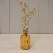 Cognac Glass Bottle D6.8 x H11.8cm