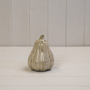 Beige Mottle Ceramic Pumpkin Decoration L9xD9xH13cm  Weight-269g